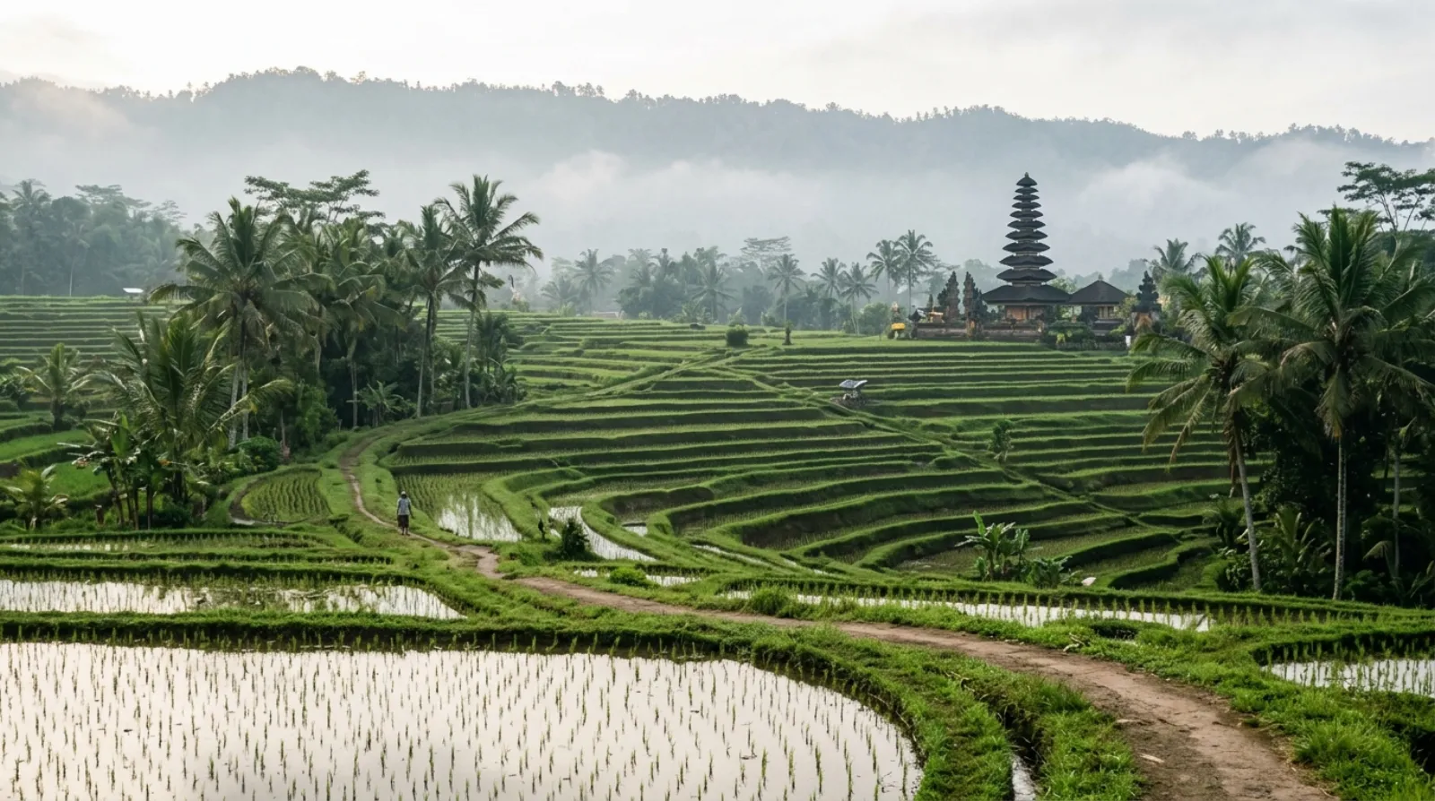Business Class flights to Bali